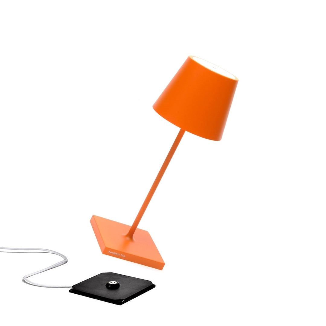 "Poldina Pro Mini"