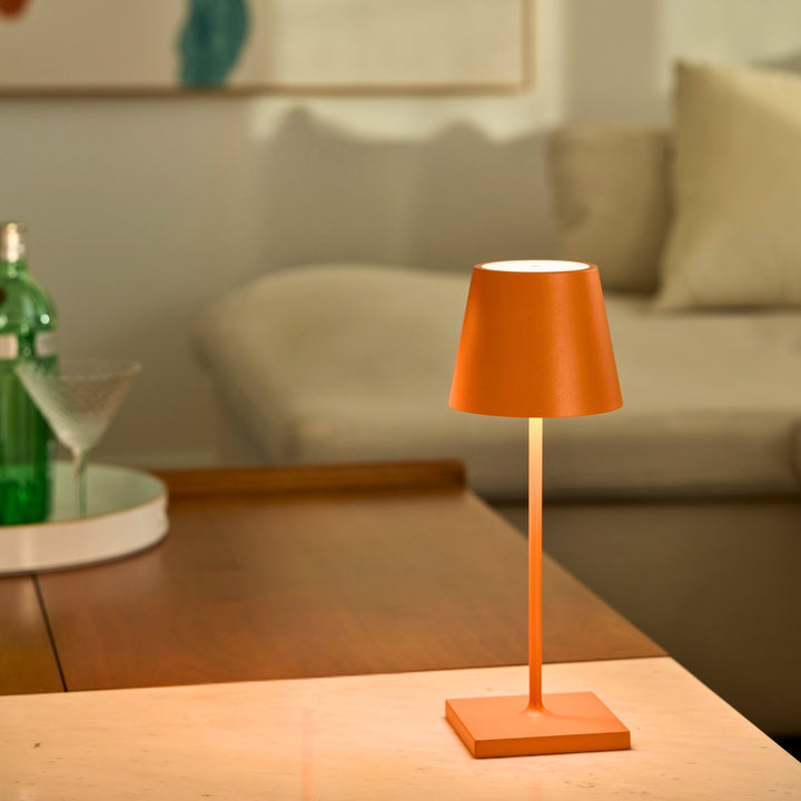 "Poldina Pro Mini"