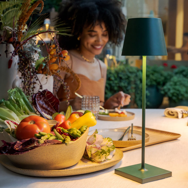 Poldina Professional
