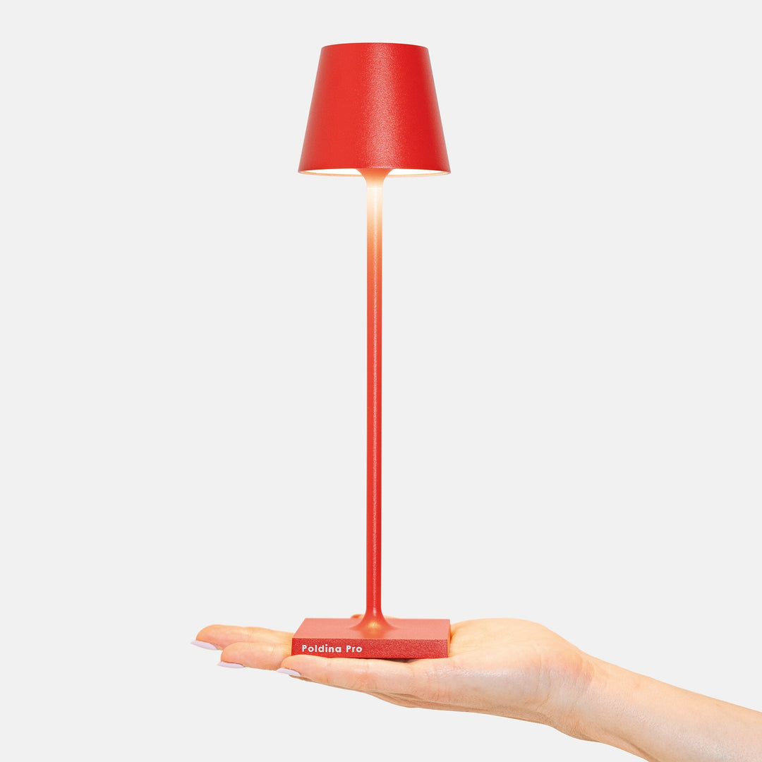 "Poldina Pro Micro"