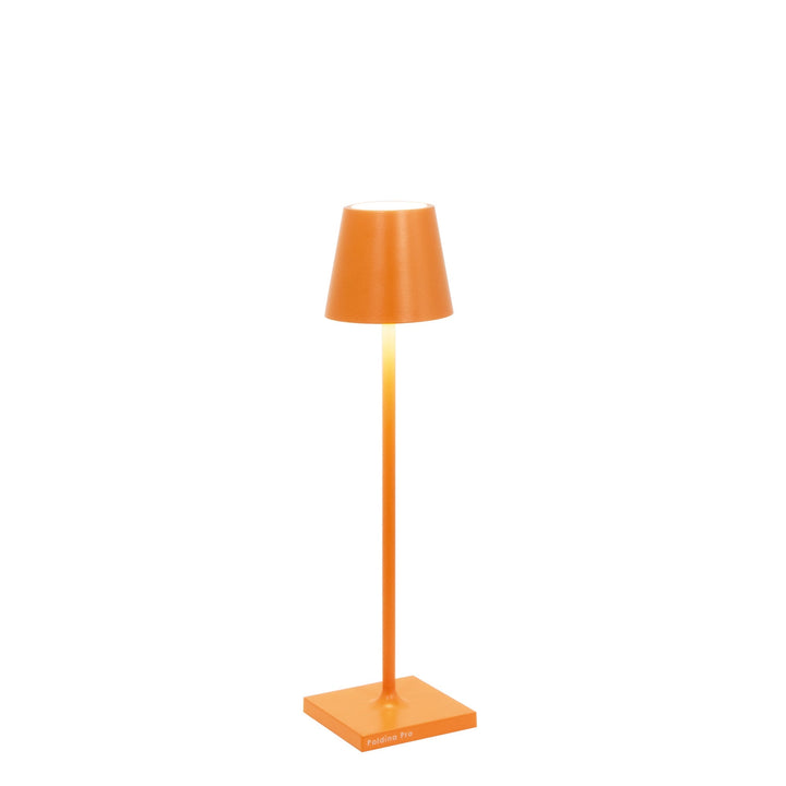 "Poldina Pro Micro"