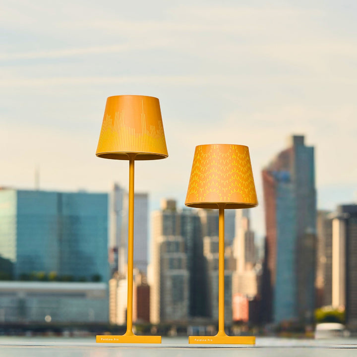 Kiki Chudikova's Skyline Shade